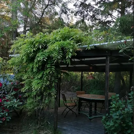 Waldhaus Nebel